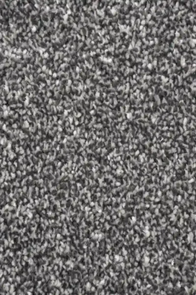 Zephyr carpet in bedroom setting