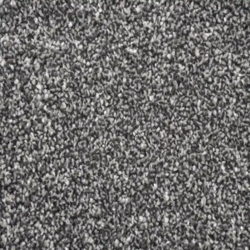 Zephyr carpet in bedroom setting