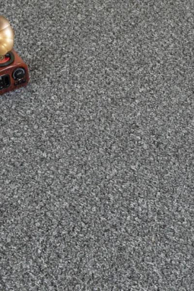 Anthracite Alabama Loop Carpet