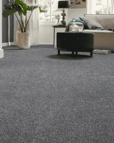 Anthracite Astra Saxony Carpet