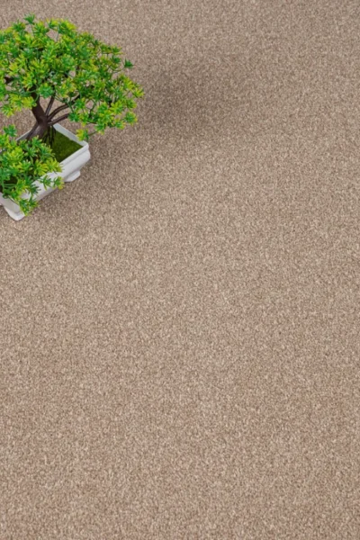 Apollo Plus Stepping Stone Carpet