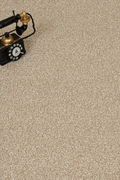 Autumn Mist Stainaway Carpet