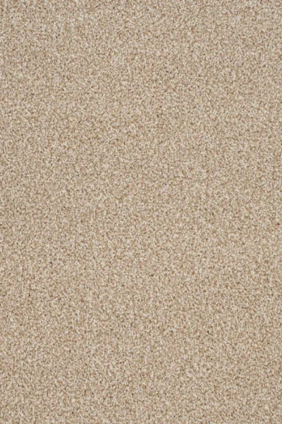 Autumn Mist Stainaway Carpet image 2