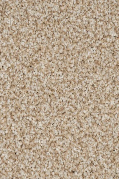 Autumn Mist Stainaway Carpet image 3
