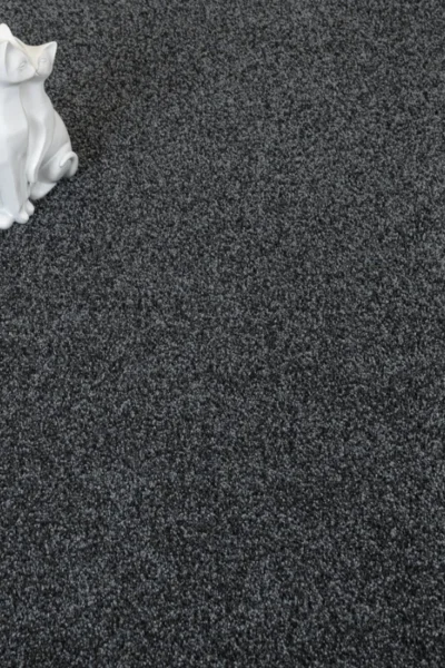 Baltic Sea Yukon Carpet image 2