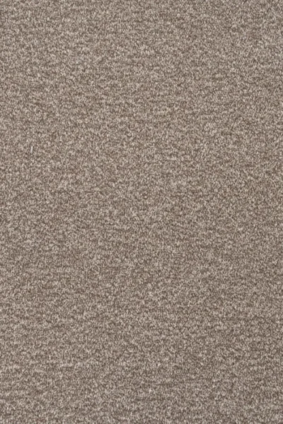 Bark Brown Delphi Twist Carpet image 2