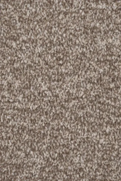 Bark Brown Delphi Twist Carpet image 3