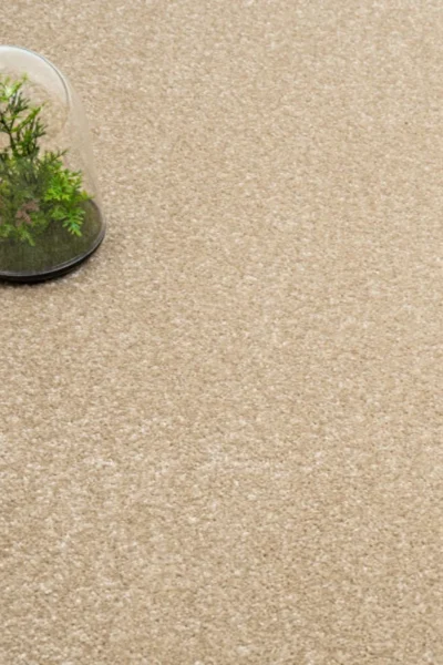 Beach 31 Promenade Carpet