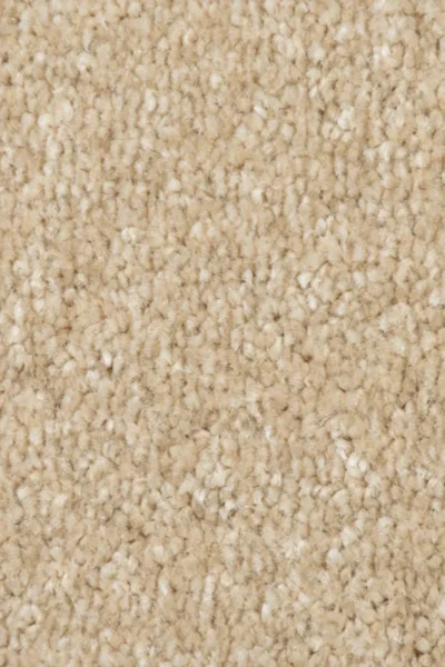Beach 31 Promenade Carpet image 3