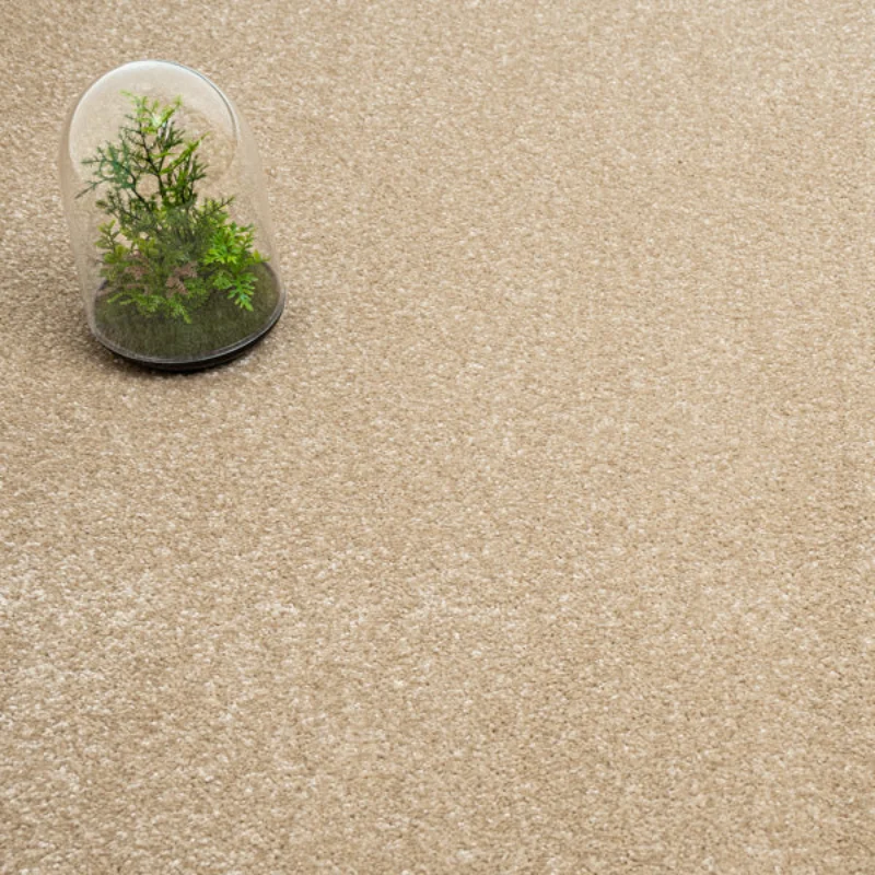 Beach 31 Promenade Carpet