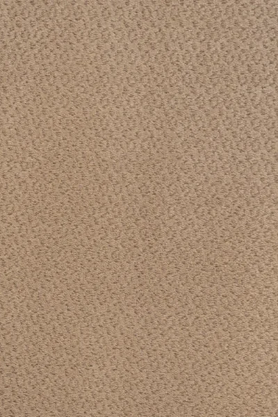 Beige Circles Castle Carpet image 2