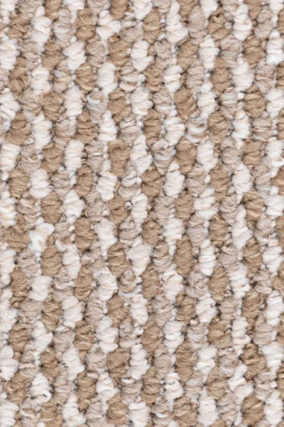 Beige Richmond Loop Feltback Carpet image 3