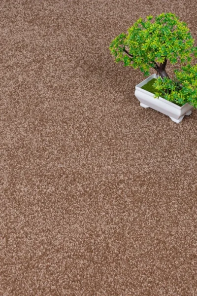 Biscuit 34 Sirius 70oz Invictus Carpet