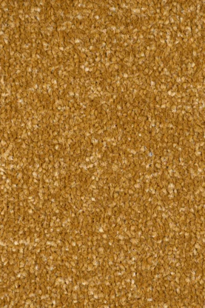 Biscuit Beige Carpet Texture image 3