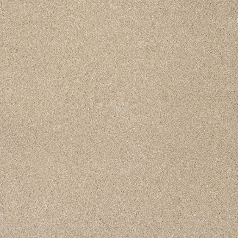 Biscuit Beige Moxie Saxony Carpet image 2 Biscuit Beige Moxie Saxony Carpet image 2