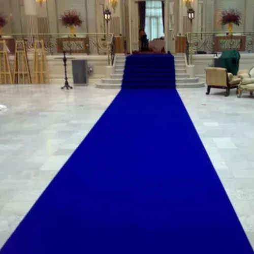 Blue Floor Carpet