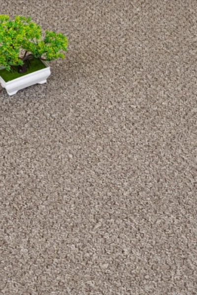 Brown Beige Alabama Loop Carpet