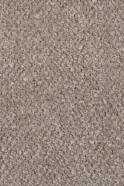 Brown Beige Alabama Loop Carpet image 2