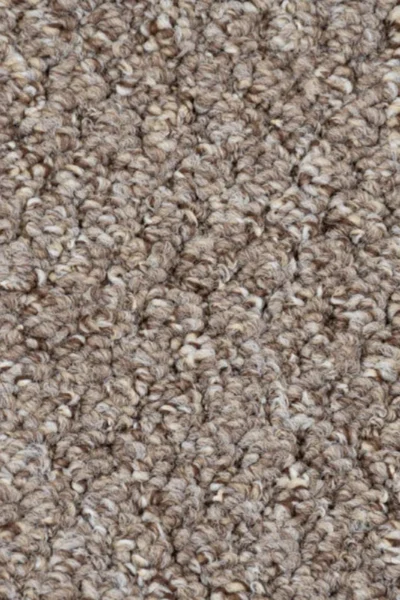 Brown Beige Alabama Loop Carpet image 3