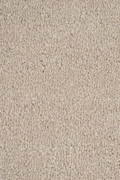 Cambrian Stone Original Carpet image 3