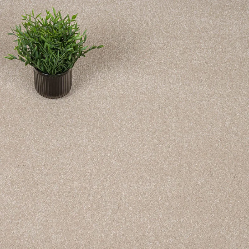 Cambrian Stone Original Carpet