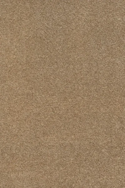 Camel 36 iSense Obsession Carpet image 2