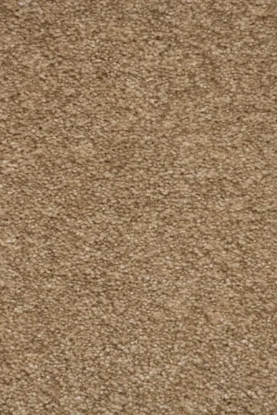Camel 36 iSense Obsession Carpet image 3