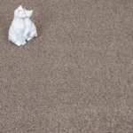 Chestnut Stainaway Carpet