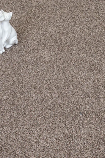 Chestnut Stainaway Carpet