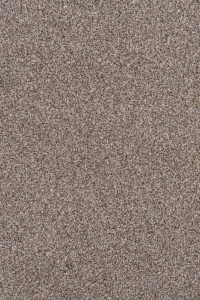Chestnut Stainaway Carpet image 2