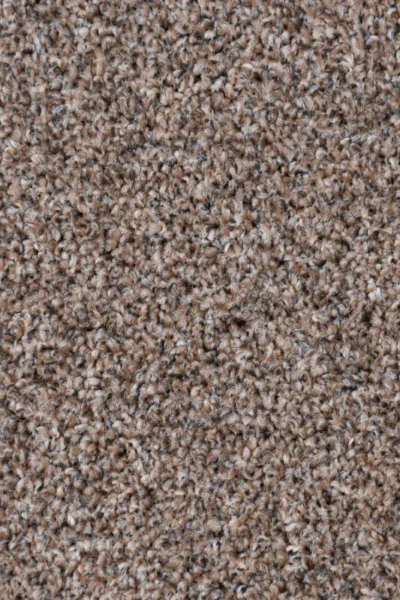 Chestnut Stainaway Carpet image 3