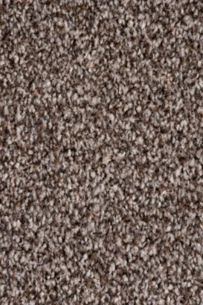 Chocolate Brown twist carpet