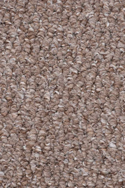 Oak Appleton carpet in living space