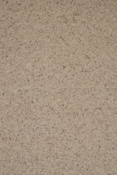 Coconut Natural Twist Carpet image 2