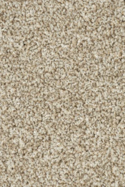 Cocoon Beige Harvest Carpet image 3