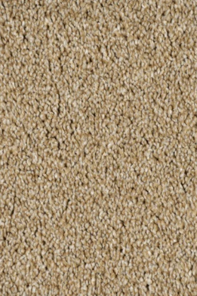 Cornsilk Romance Love Carpet image 3