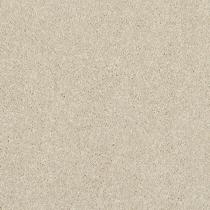 Cotton Stainfree Caress Carpet