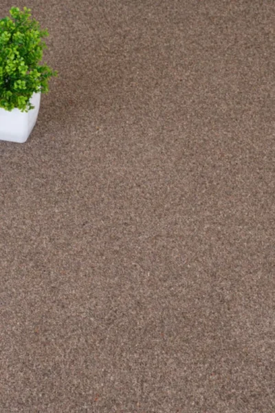 Doeskin Riverside Twist Carpet