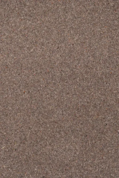 Doeskin Riverside Twist Carpet image 2