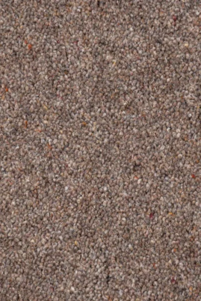 Doeskin Riverside Twist Carpet image 3