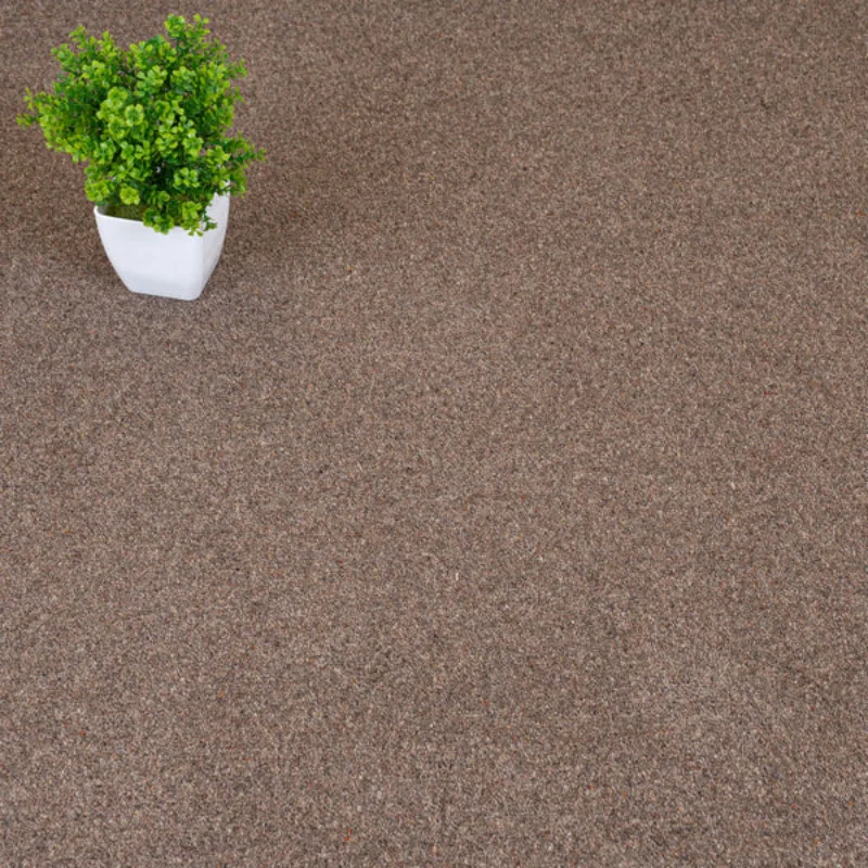 Doeskin Riverside Twist Carpet