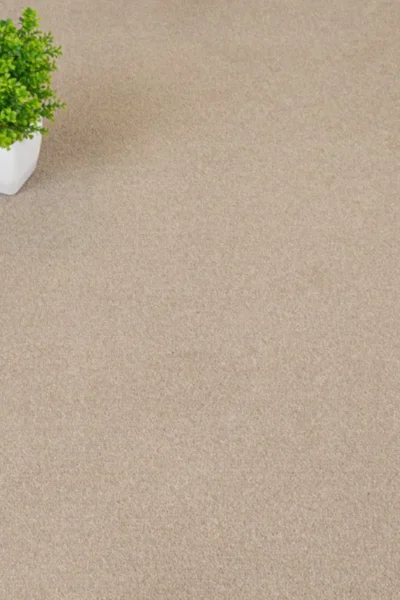 Dormouse Hampstead Carpet