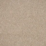 Dormouse Hampstead Carpet image 3