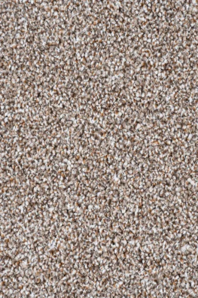 Driftwood Trinity Carpet image 3