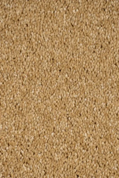 Golden Honey Orion Carpet image 3