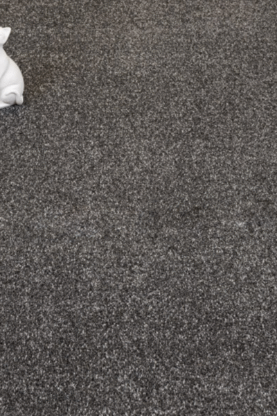 Gunpowder Grey Marseilles Twist Carpet