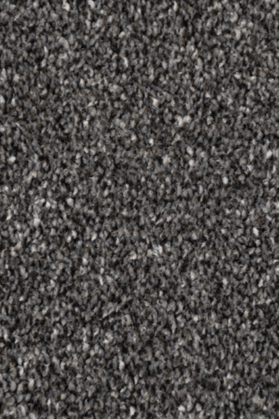 Gunpowder Grey Marseilles Twist Carpet image 2