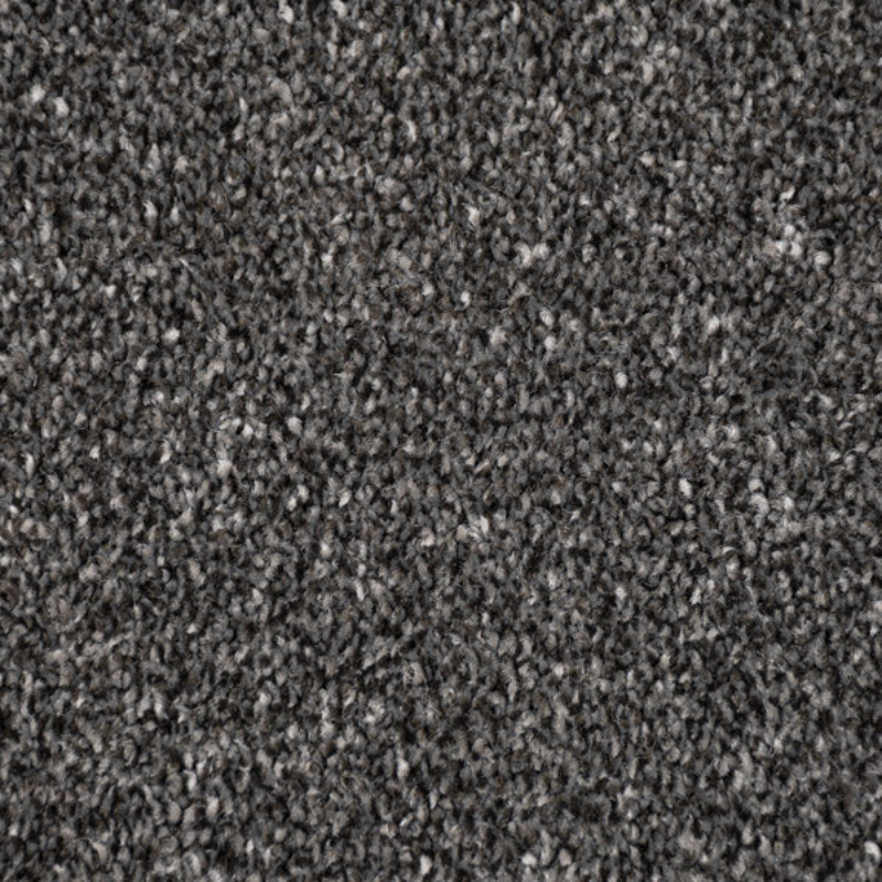 Gunpowder Grey Marseilles Twist Carpet image 2 Gunpowder Grey Marseilles Twist Carpet image 2