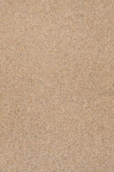 Harvest Riverside Twist Carpet image 2