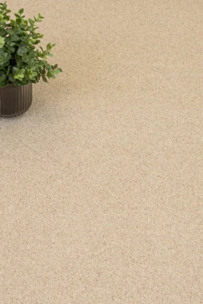 Ivory Cream Riverside Twist Carpet